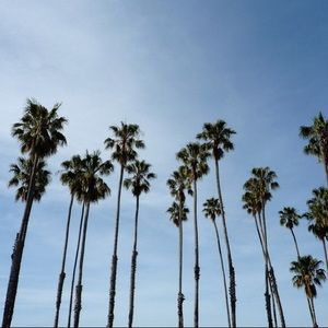 Meet your Posher, Patricia